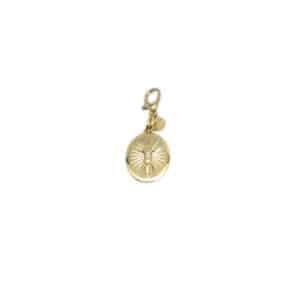 Pingente Medalha Oval com Imagens
